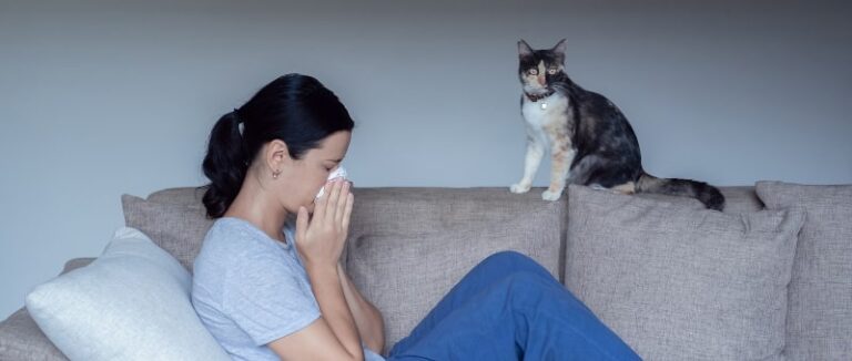 Dealing With Unhealthy Indoor Air