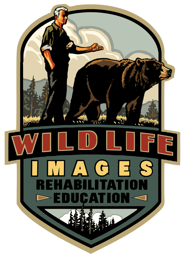 WildlifeImages_logo_NoBkg